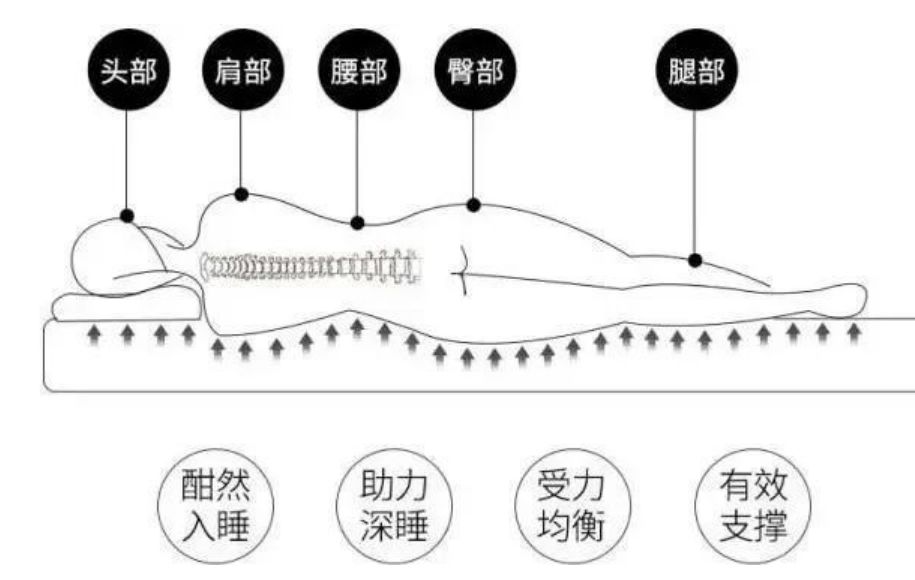 穗宝棕垫的护脊密码，带你一看究竟